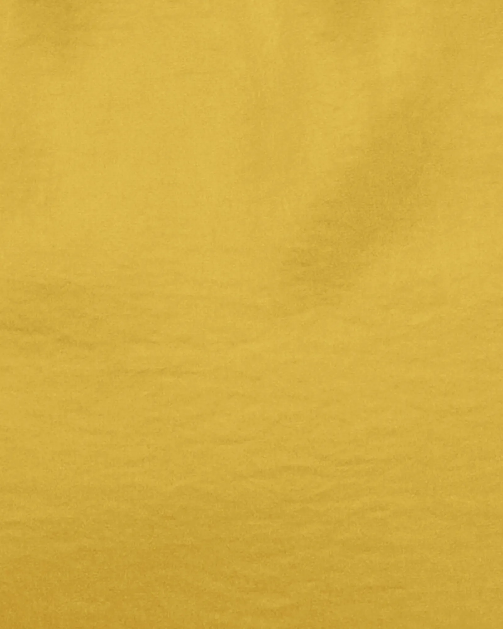 Everley V-Neck Blouse | Avacado